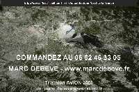 14581 photo